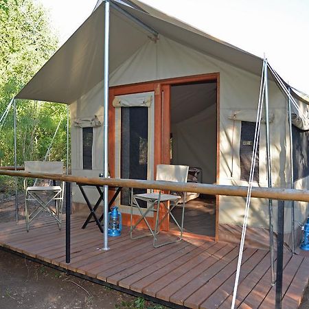 The Wild Olive Tree Camp 호텔 Welverdiend  객실 사진