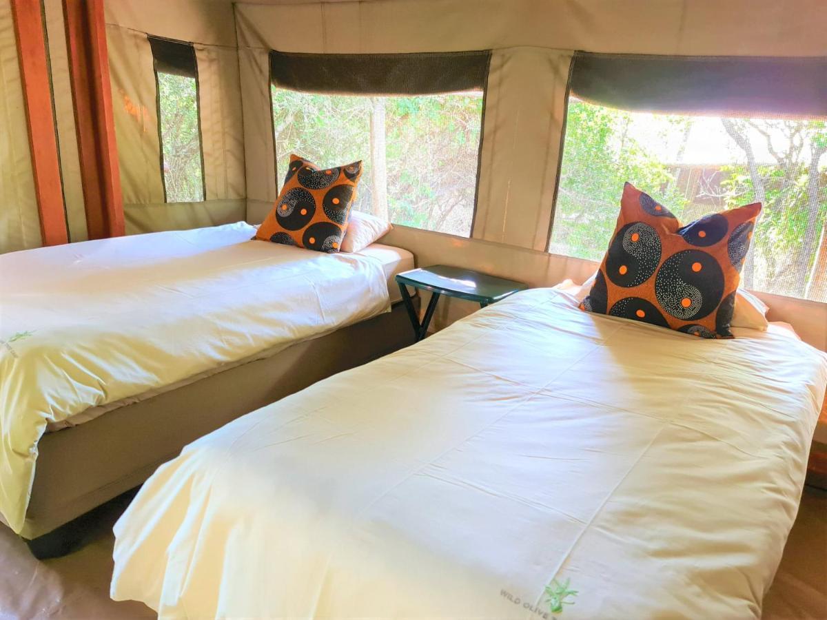 The Wild Olive Tree Camp 호텔 Welverdiend  외부 사진