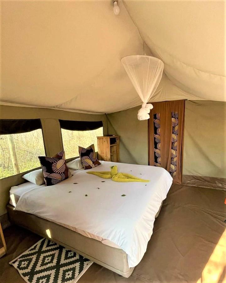 The Wild Olive Tree Camp 호텔 Welverdiend  외부 사진